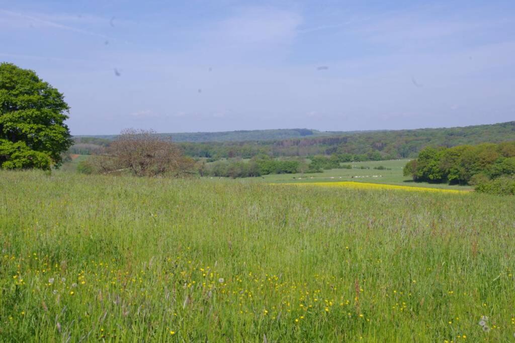 La-Haut, Gite-Maison De Vacances Poinson-les-Fayl Kültér fotó